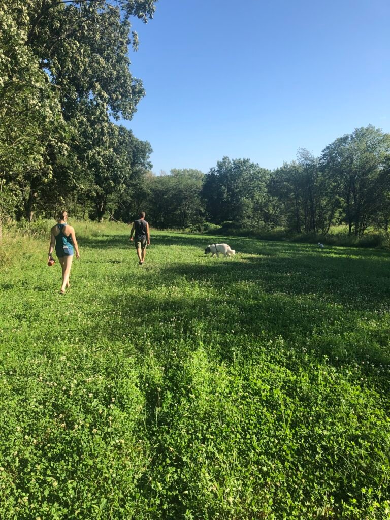 img 2581